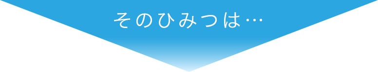 そのひみつは